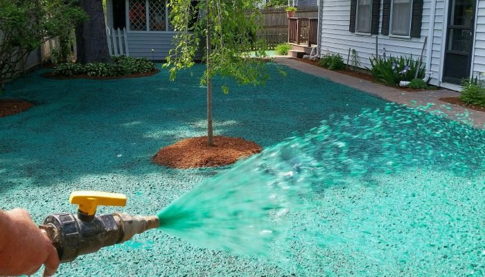 Hydroseeding_Landscape